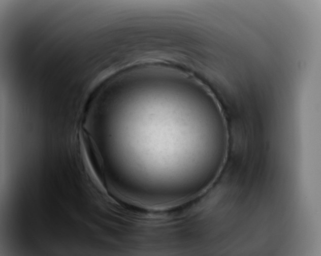 X0000092271497200709211128