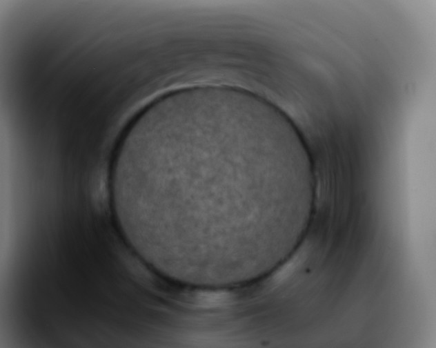 X0000092271498200709211128