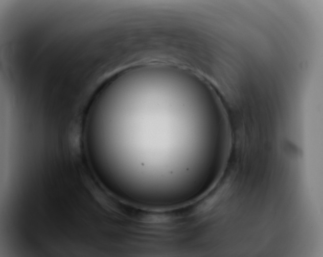 X0000092271499200709211128