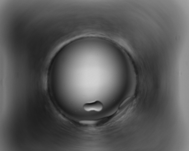 X0000092271504200709211128