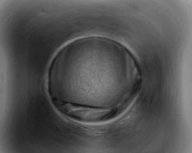 X0000092271508200709211128