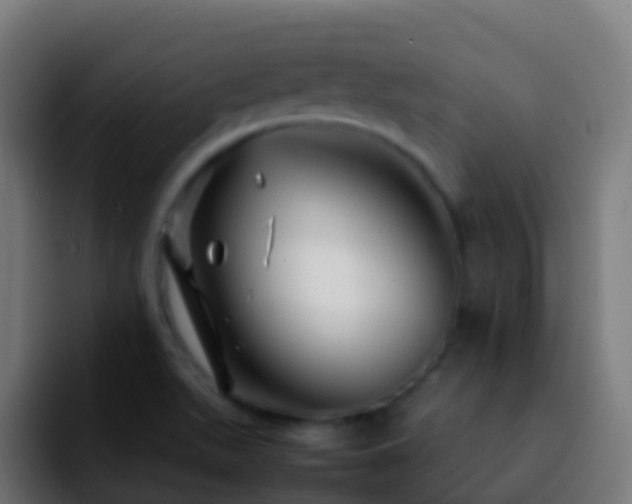 X0000092271511200709211128