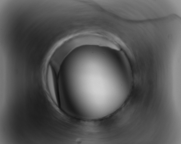 X0000092271512200709211128