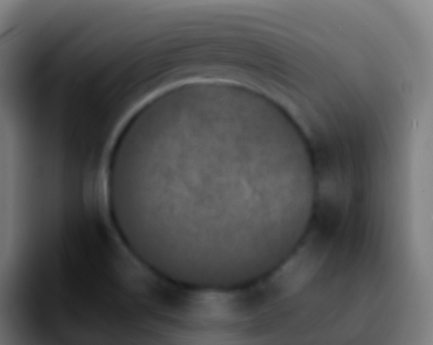 X0000092271514200709211128