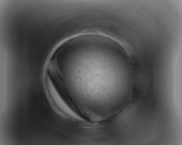 X0000092271519200709211128