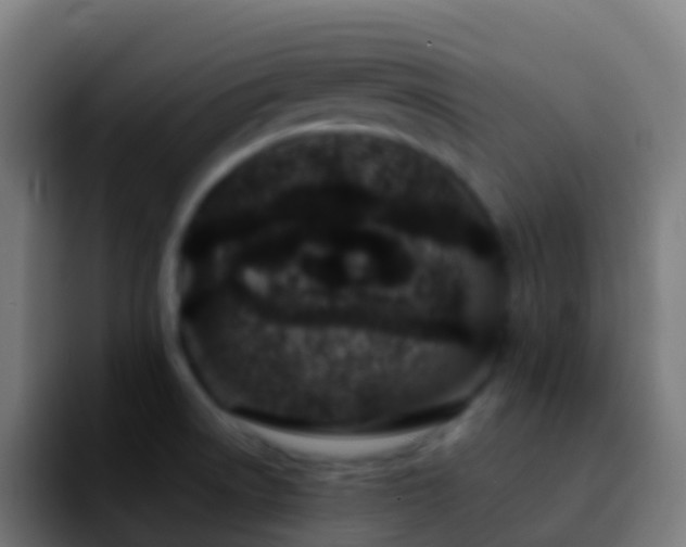 X0000092271522200709211128