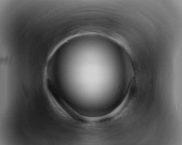 X0000092271524200709211128