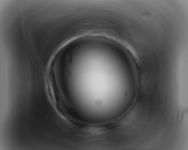 X0000092271525200709211128