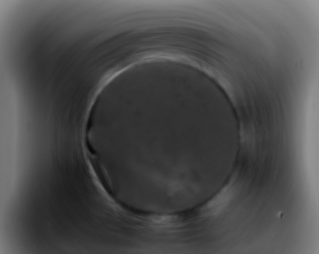 X0000092271529200709211128