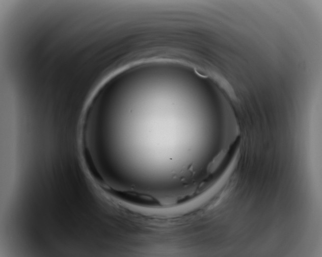 X0000092271530200709211128