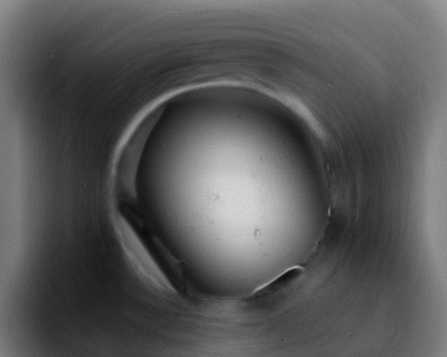 X0000092271532200709211128