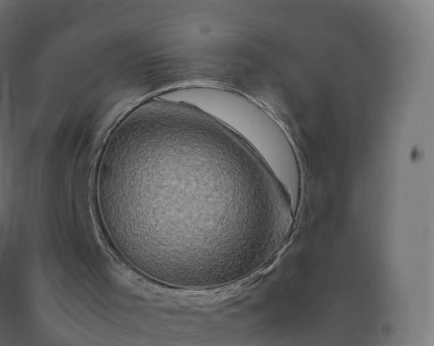 X0000092270001200709281234
