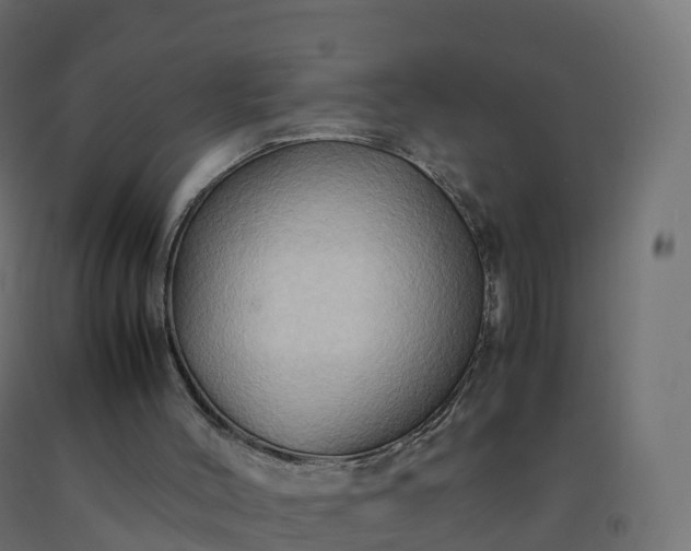 X0000092270004200709281234