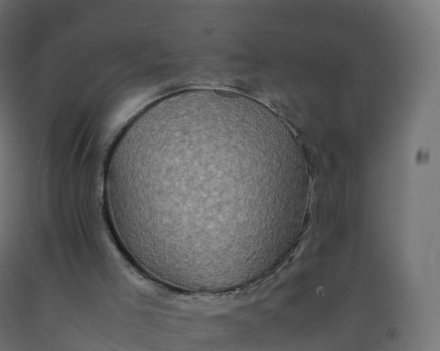X0000092270005200709281234