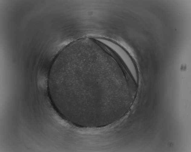 X0000092270009200709281234