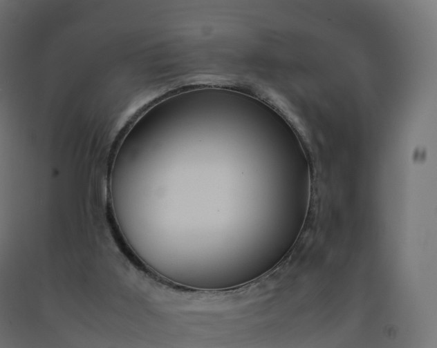 X0000092270011200709281233