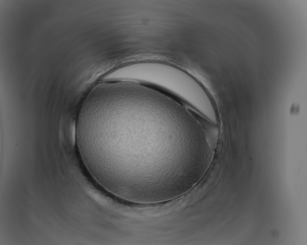 X0000092270013200709281233