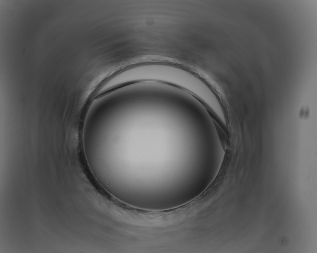 X0000092270015200709281233