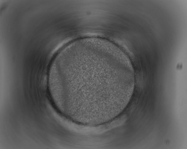 X0000092270016200709281233