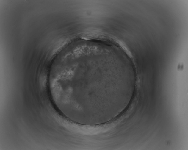X0000092270018200709281233