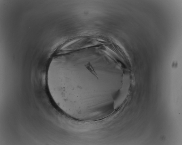 X0000092270019200709281233