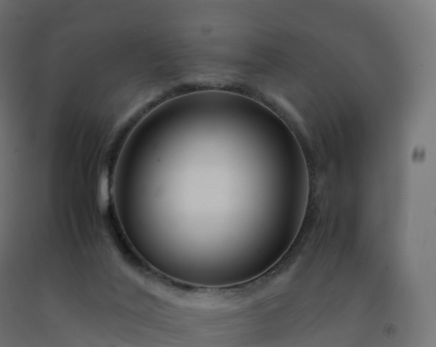 X0000092270020200709281233