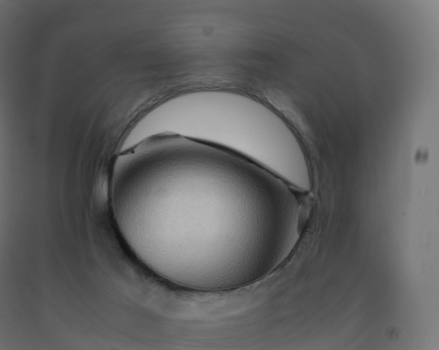 X0000092270021200709281233