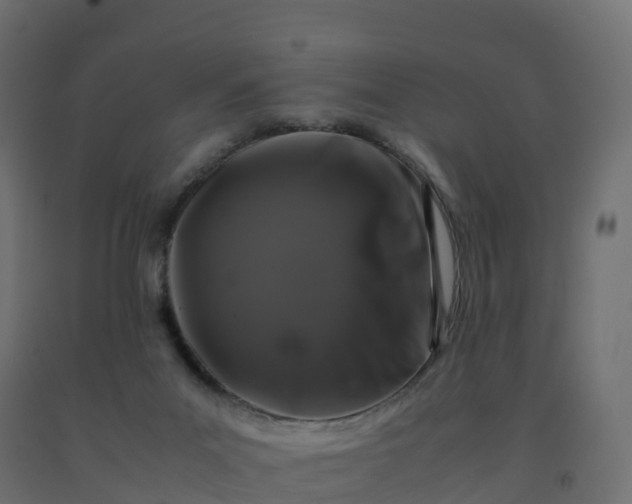 X0000092270023200709281233