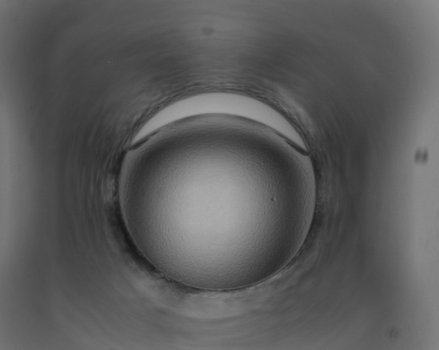 X0000092270025200709281233