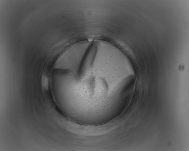 X0000092270026200709281233