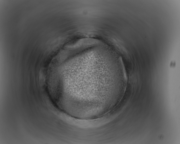 X0000092270030200709281233