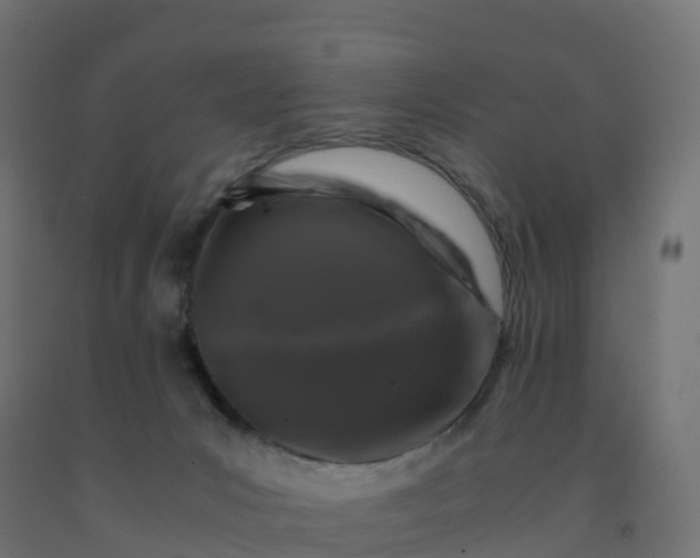 X0000092270031200709281233