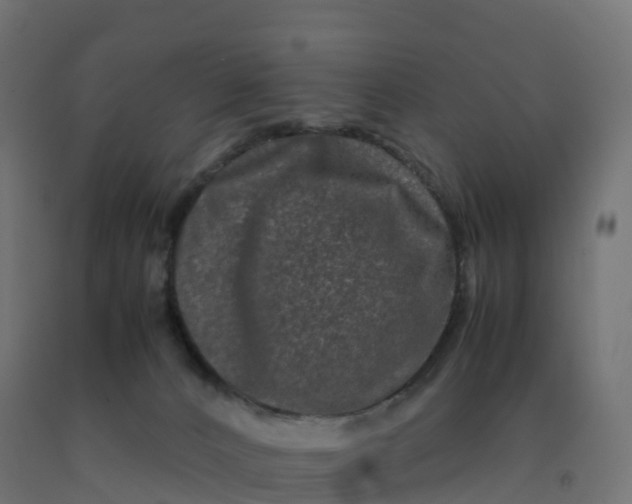 X0000092270032200709281233