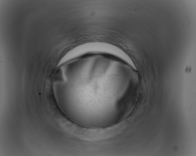 X0000092270037200709281233