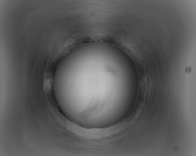 X0000092270038200709281233