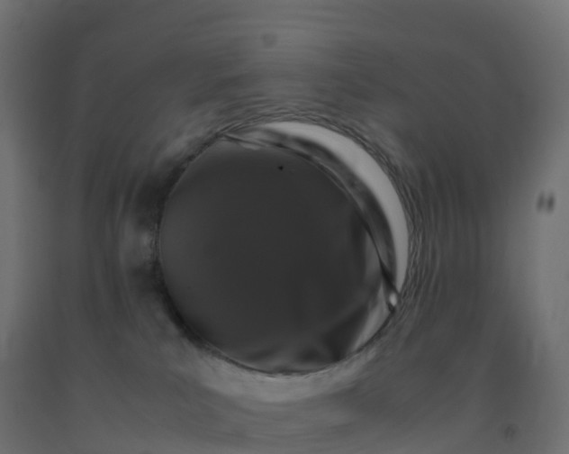 X0000092270039200709281233