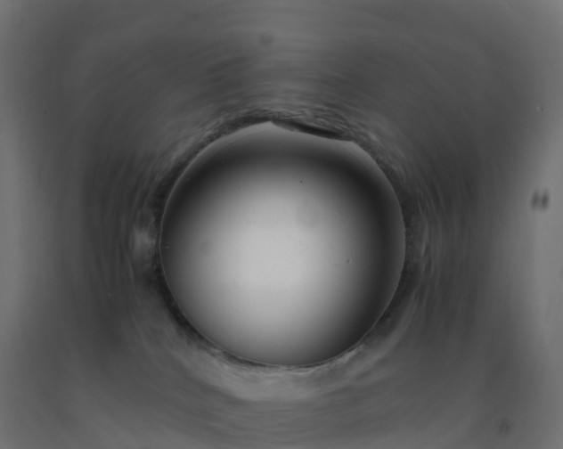 X0000092270040200709281233