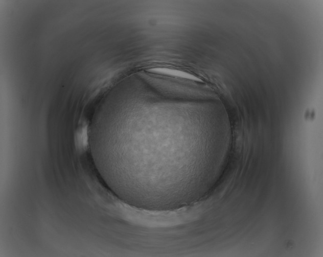 X0000092270042200709281233