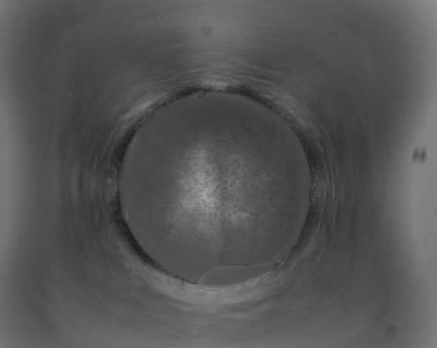 X0000092270043200709281233