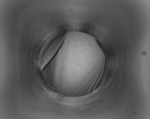 X0000092270045200709281233