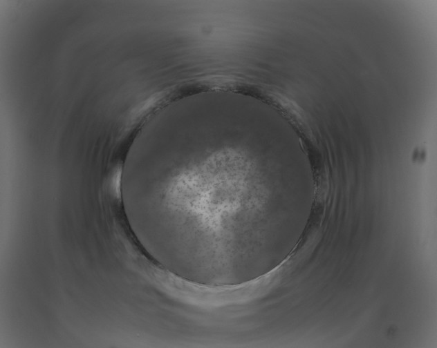 X0000092270047200709281233