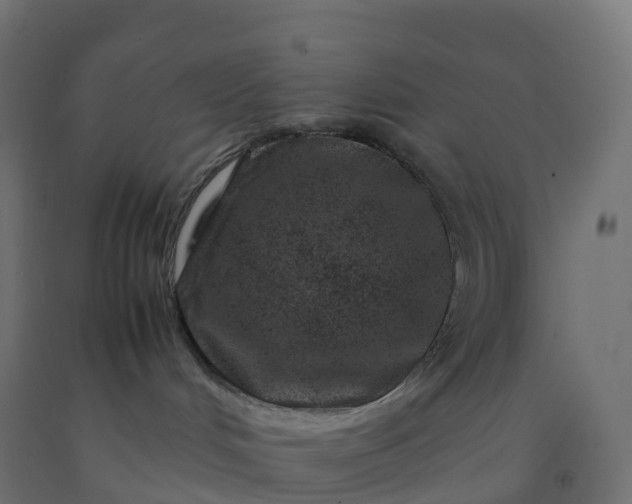X0000092270048200709281233