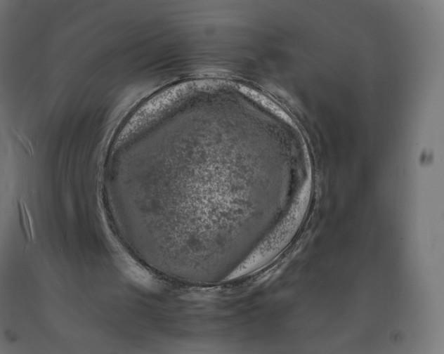 X0000092270049200709281232