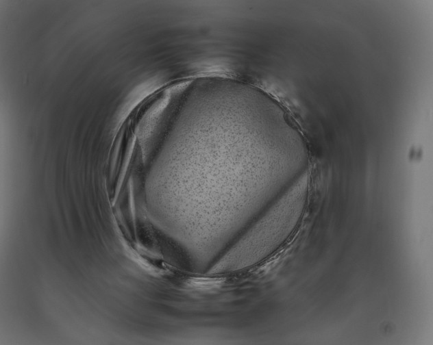 X0000092270051200709281232