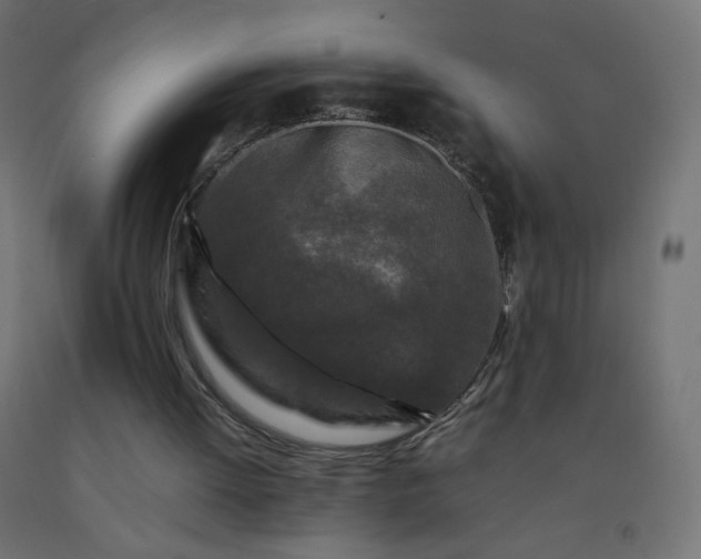 X0000092270052200709281232