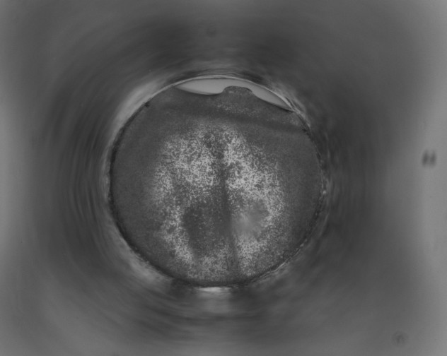 X0000092270053200709281232
