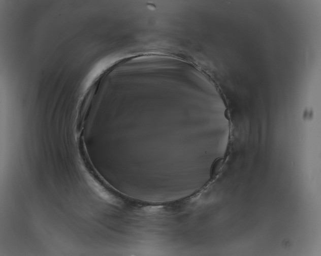 X0000092270054200709281232
