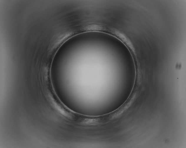 X0000092270057200709281233