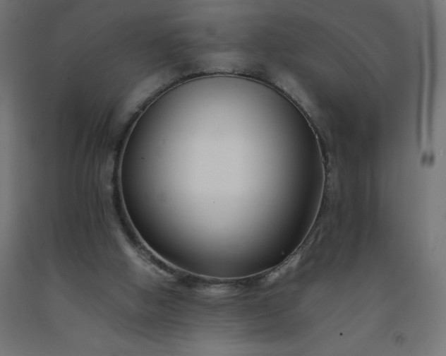 X0000092270058200709281233