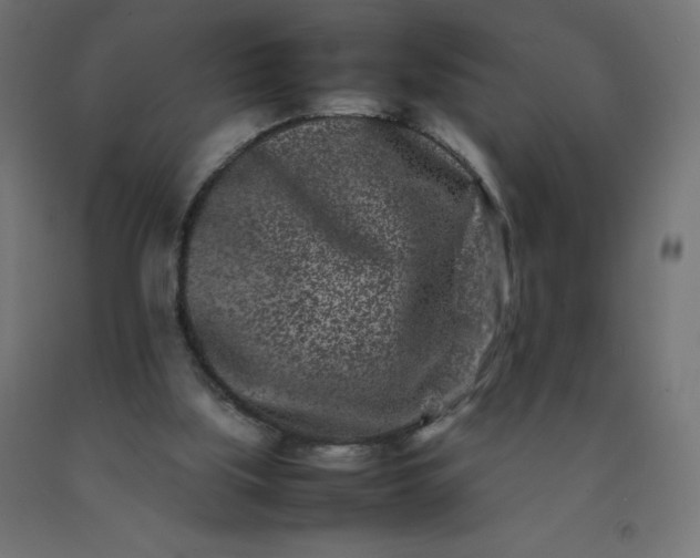 X0000092270059200709281233